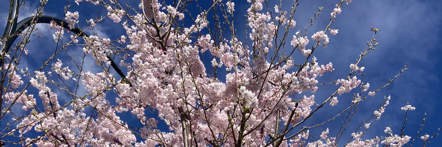 Dr. Gen Creighton 🌈 banner