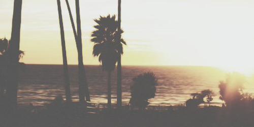 megaIarri69's profile banner image