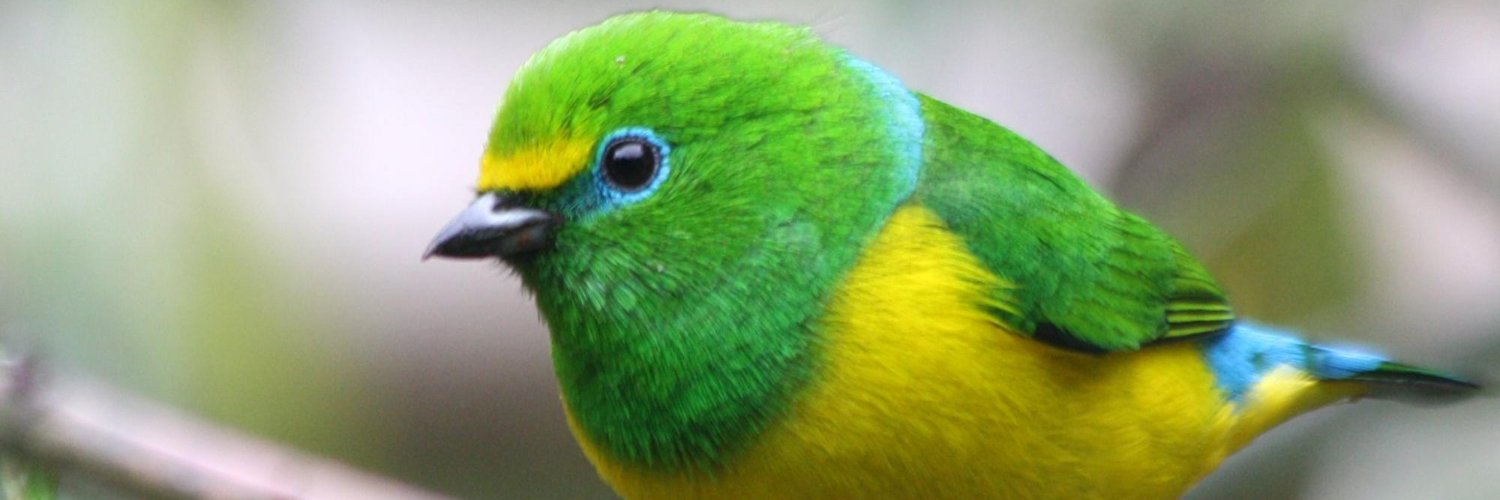 patiel's profile banner image
