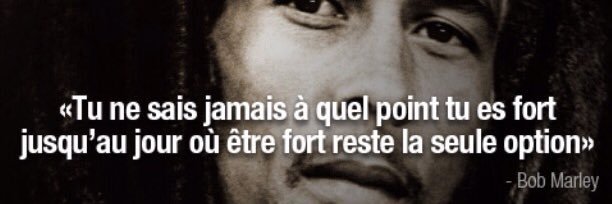 Moise banner