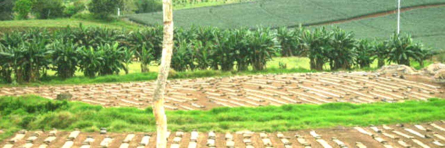 AgrotecPJInc's profile banner image