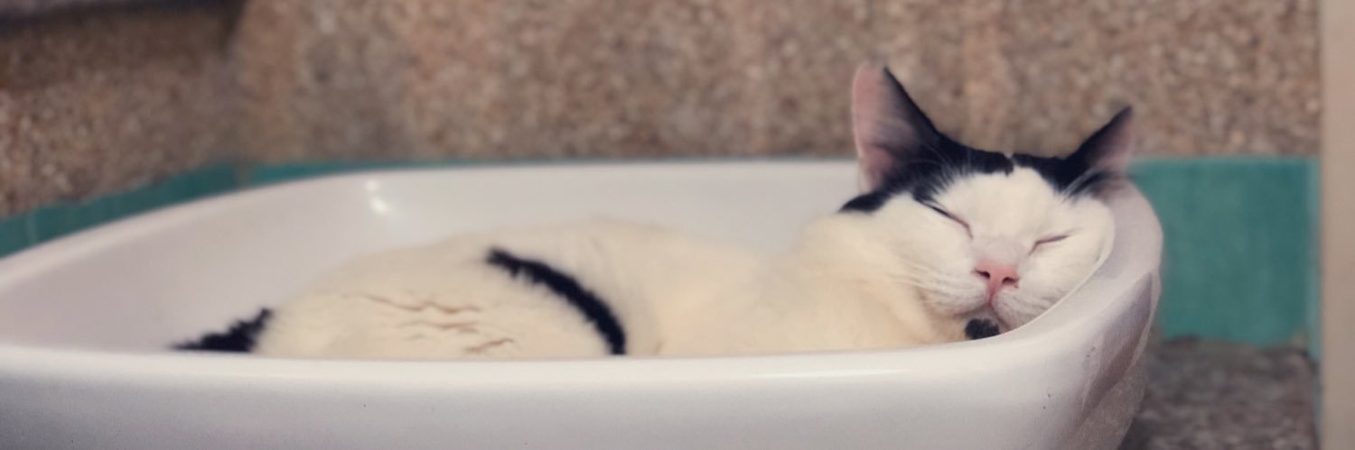 Beauty Princess banner