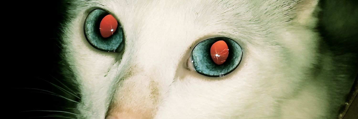 theblackletnar's profile banner image