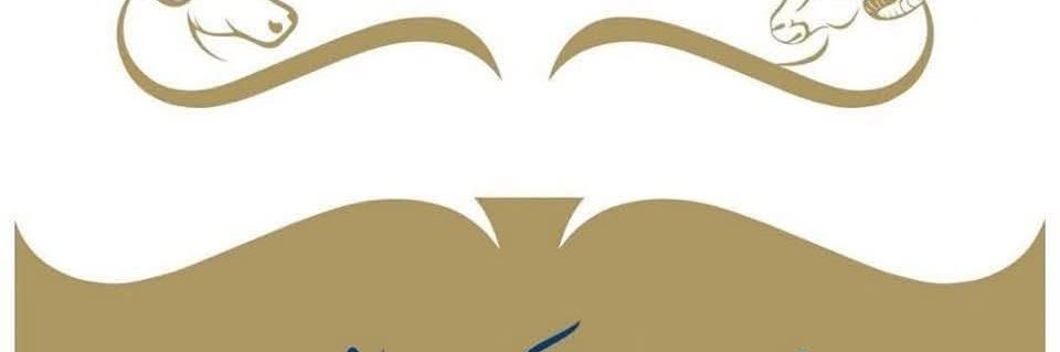 yoldas3463's profile banner image