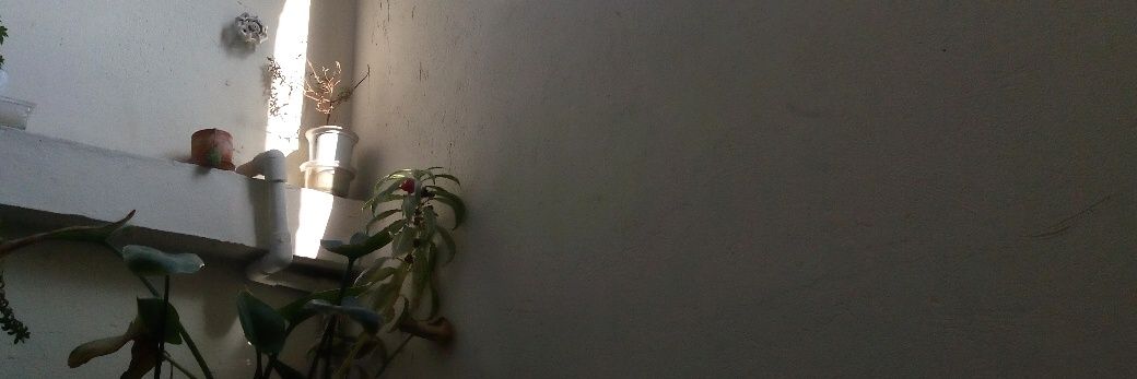 Trashk111d's profile banner image