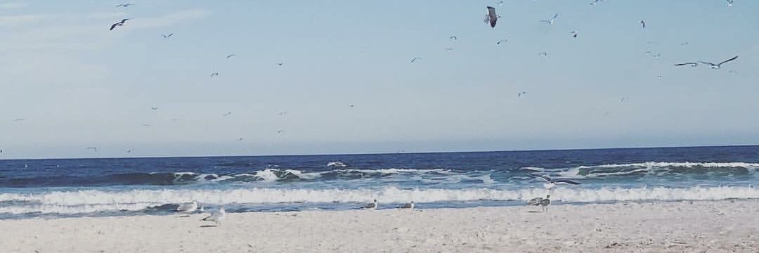 CaptainxMels's profile banner image