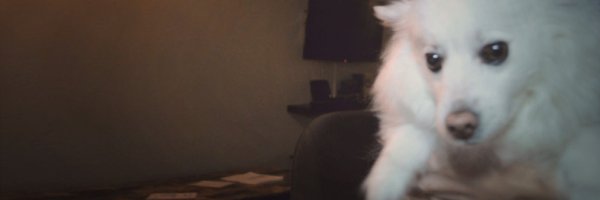 steven_nikolic Profile Banner