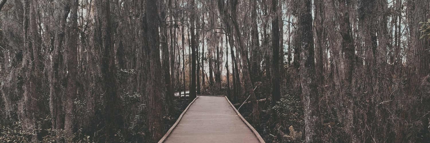 BFlinn97's profile banner image