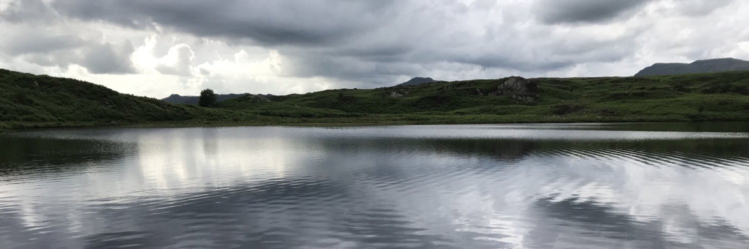Alex Ferguson banner