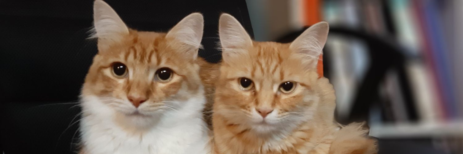 annajm45's profile banner image