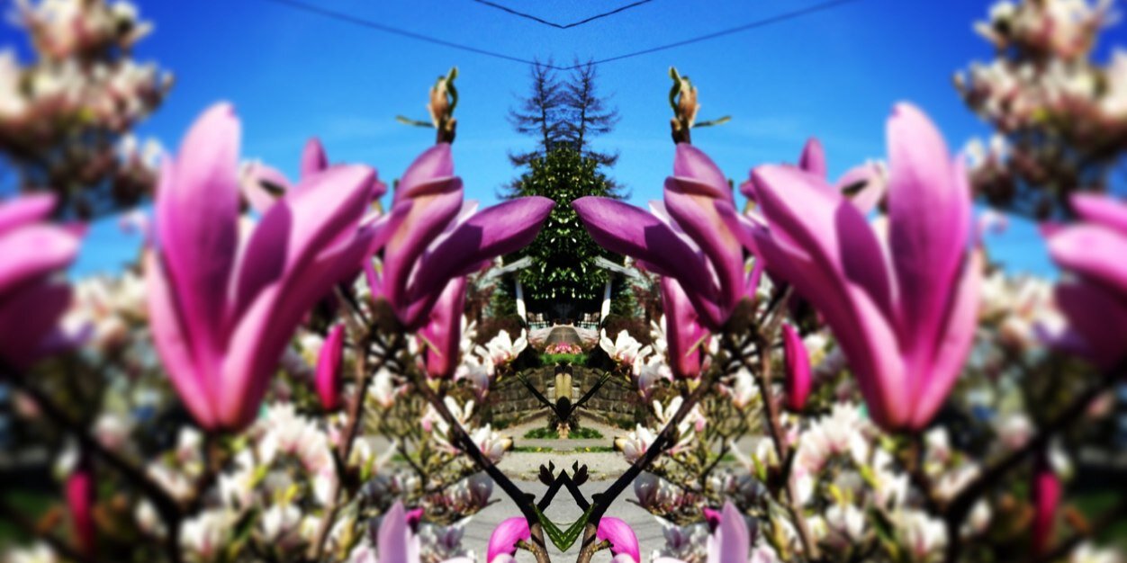 susan_marvel's profile banner image