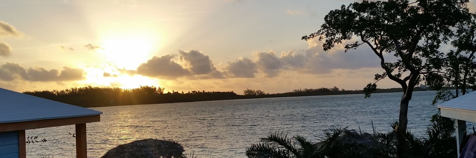 jenlezcol's profile banner image