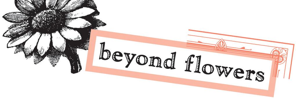 Beyond Flowers banner