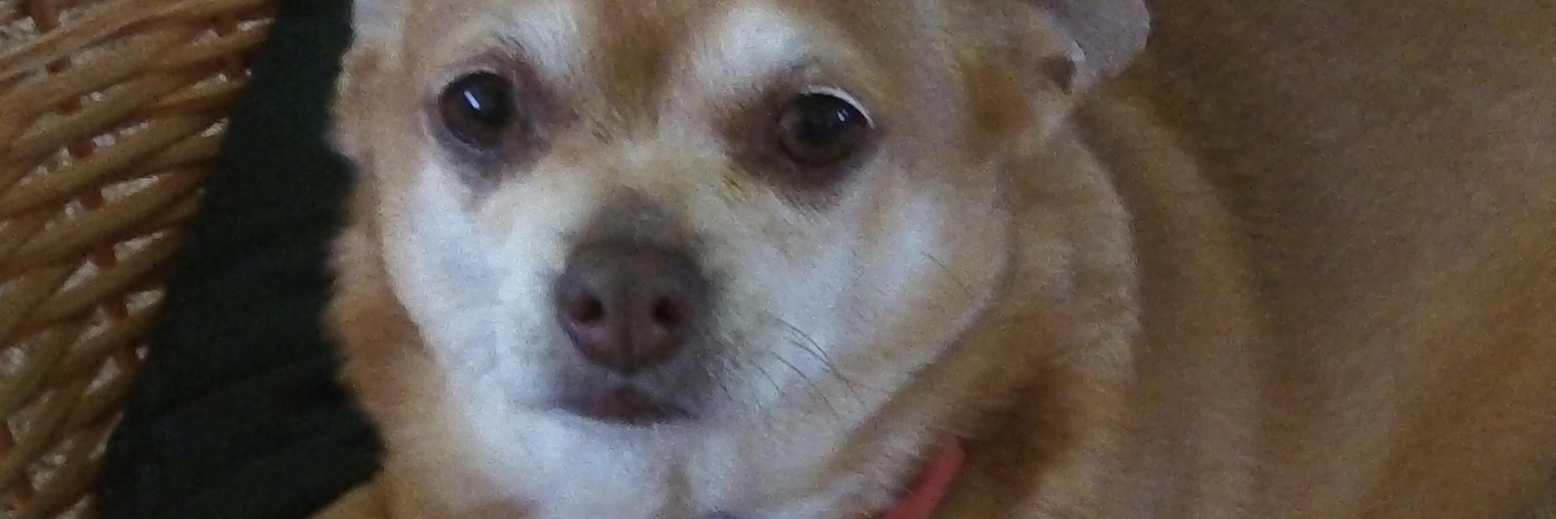 CasaMarfa's profile banner image