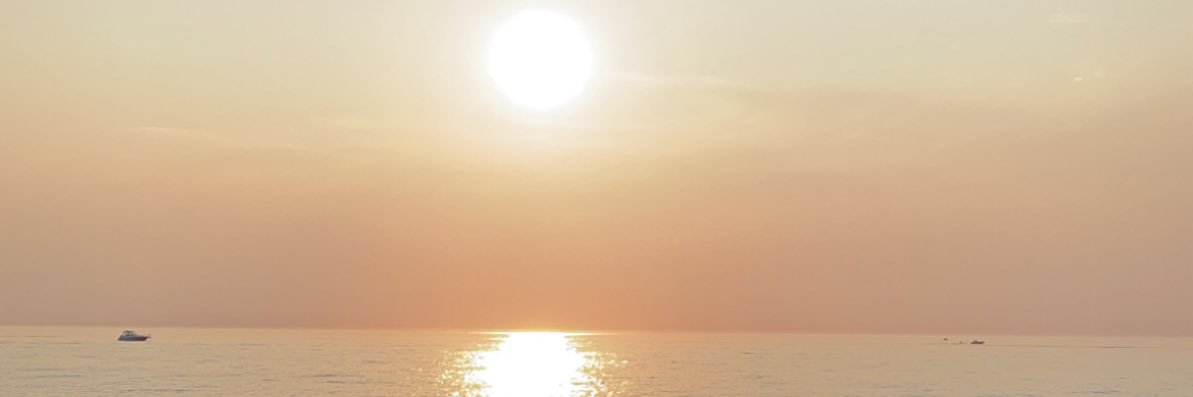 indiakenhard's profile banner image