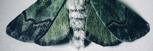 DominantWipez's profile banner image