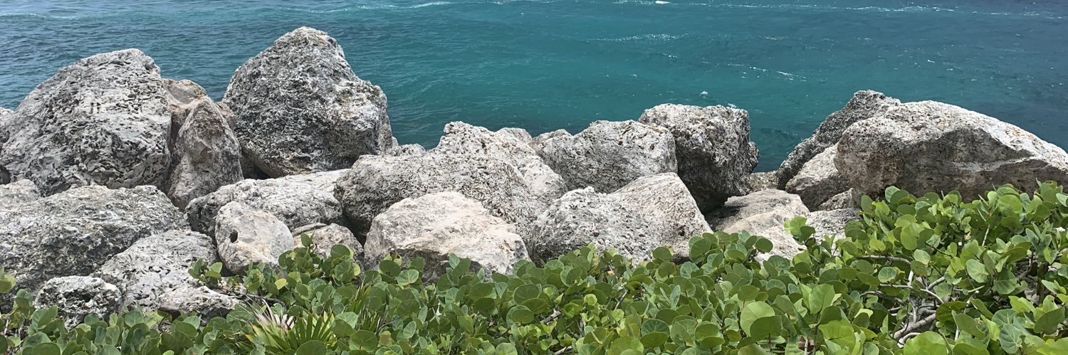 IsaVelastegui's profile banner image