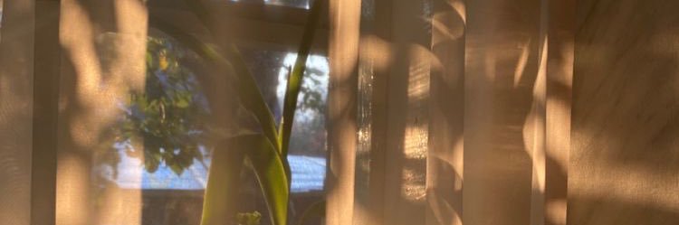 vanessaleerenta's profile banner image
