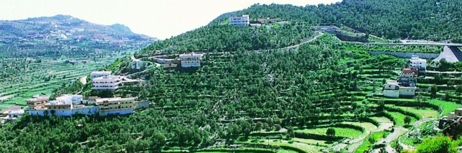 ali_tu1's profile banner image