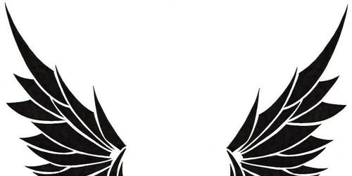ZeedFAMILY's profile banner image