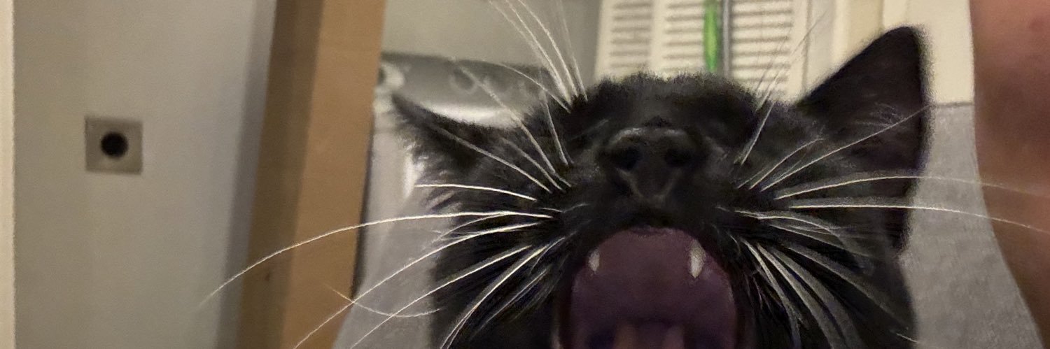 andrew_choee's profile banner image