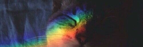binnybabe_'s profile banner image