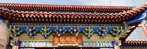 vikabbott Profile Banner