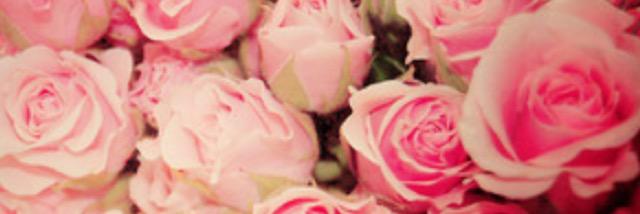 _niamhmiddleton's profile banner image