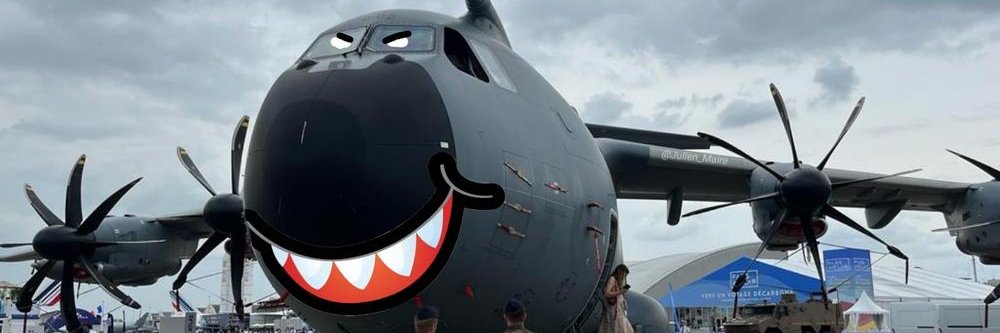 Punk Flight banner