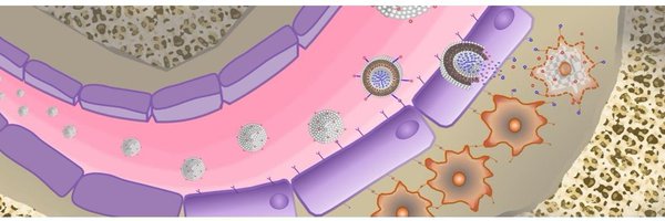 AzabLab Profile Banner