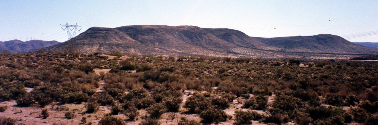 Mike 🌵's banner