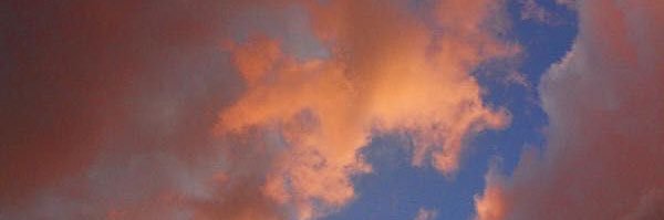 slapslap_TIA's profile banner image