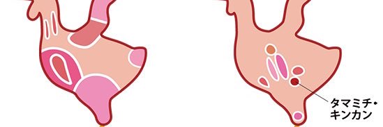 pigret666's profile banner image