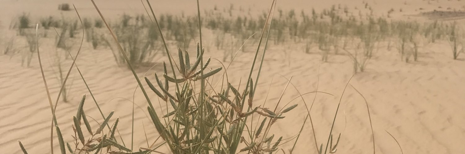 a_apdalah's profile banner image
