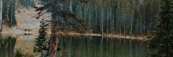 _NORAway_'s profile banner image