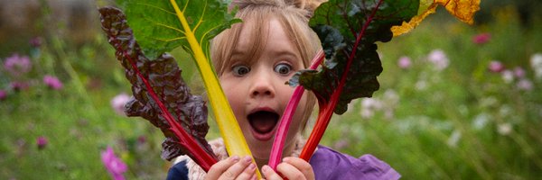 geitmyra Profile Banner