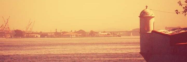 Tito Carvalho🚩🚩🚩🚩🇵🇸 banner