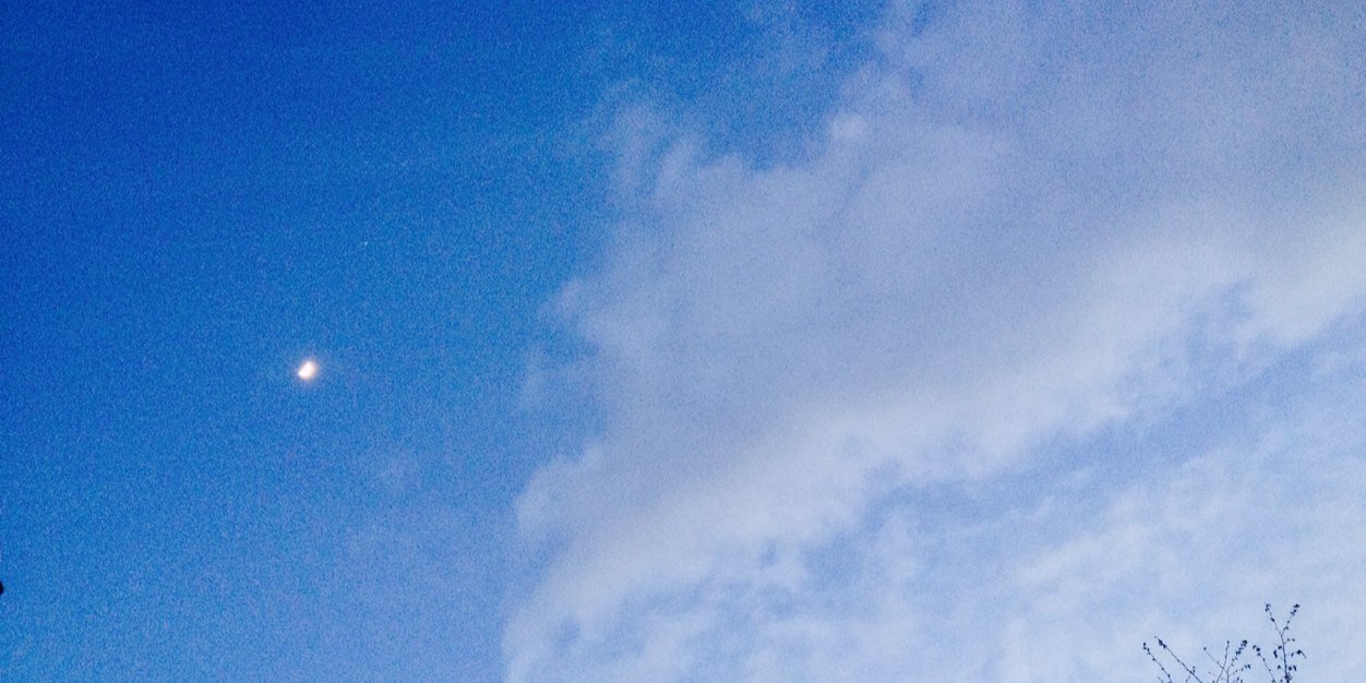 Emmanuelle Rivier banner