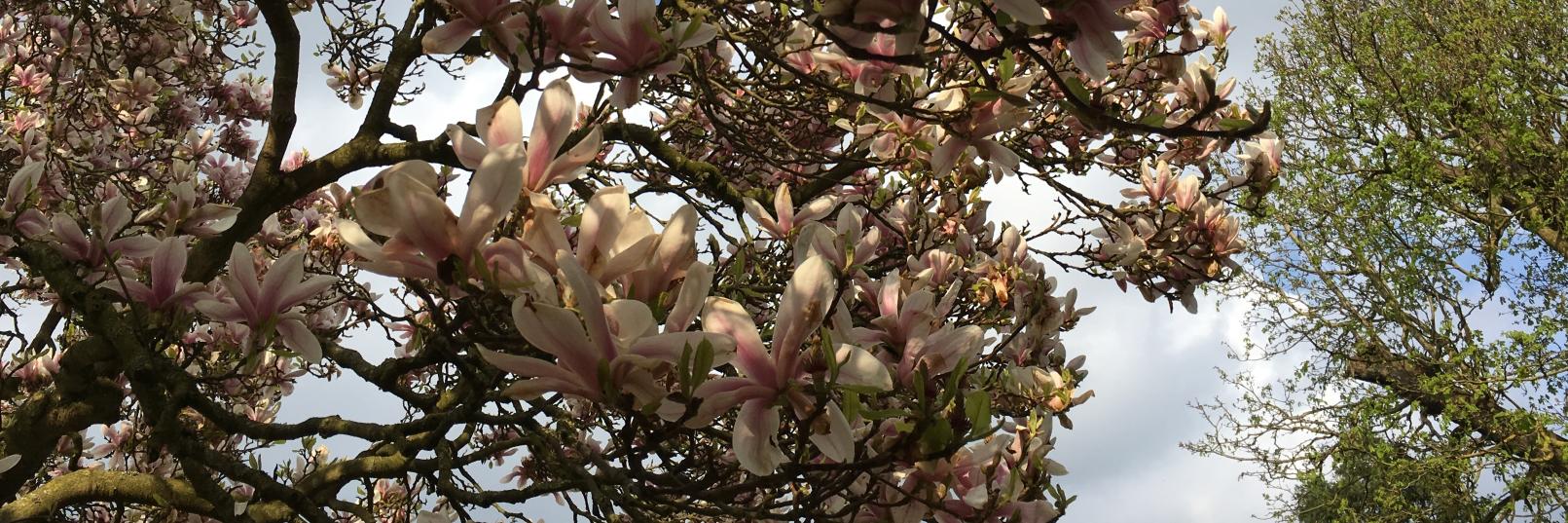 M Compton-Edwards 🌍 💚 banner