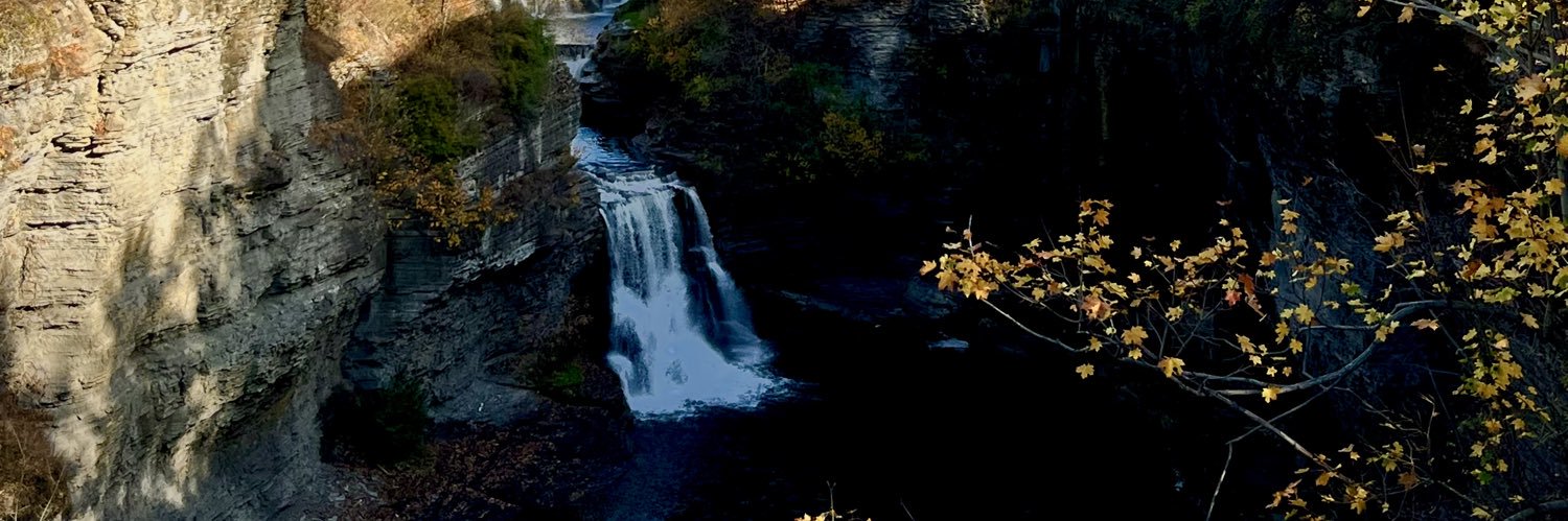 Sayidcali I Ahmed banner