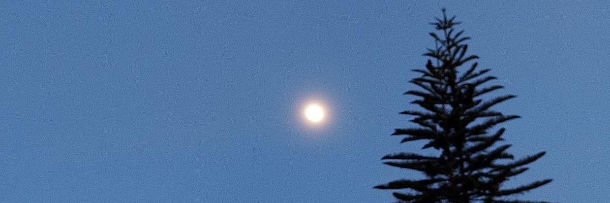 alejaarguello's profile banner image