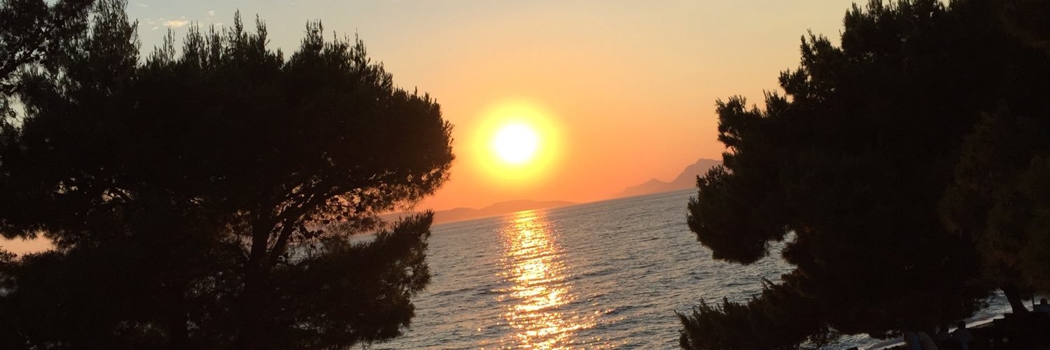 sofiaklinte's profile banner image