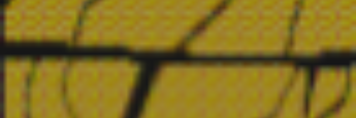 1milikara's profile banner image