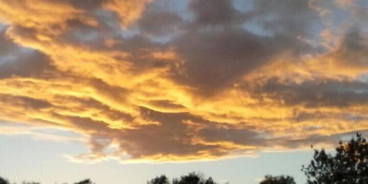 wardy491's profile banner image