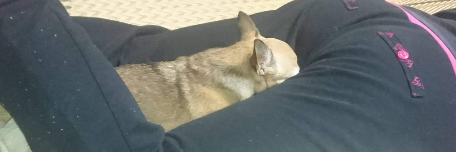 YR__YR's profile banner image