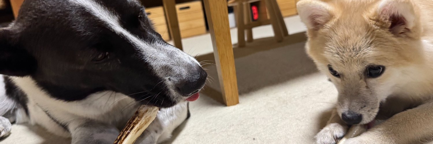 HEM🐰digitalyze.net banner