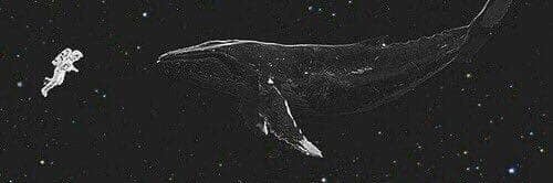 lidddym's profile banner image