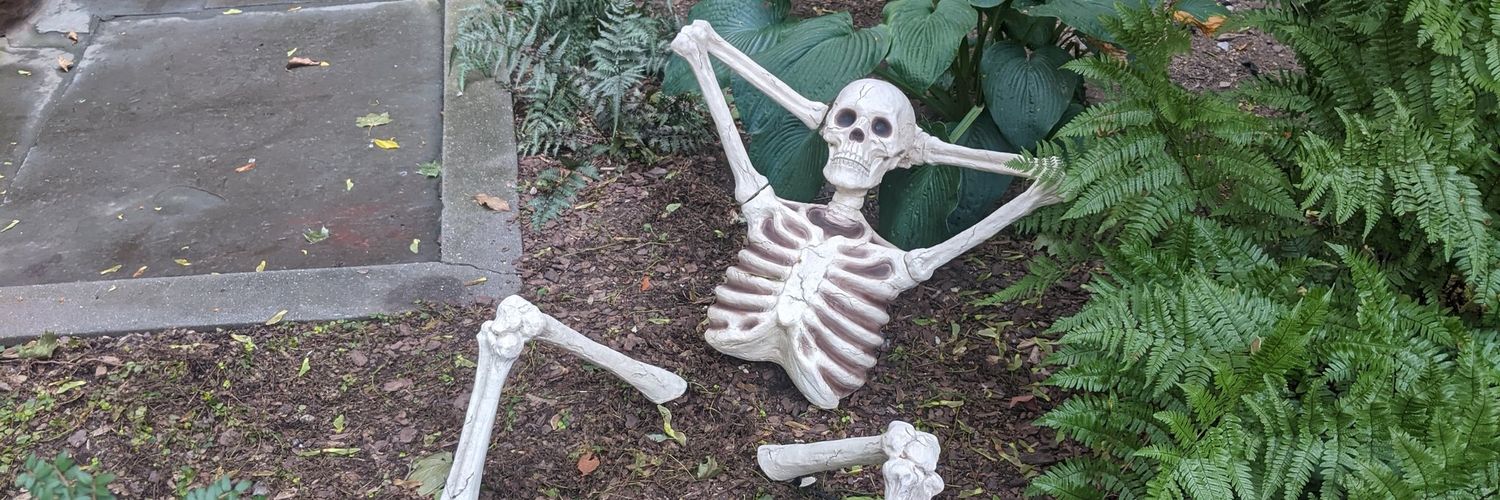 Spooky LaMouette 💀🎃 banner