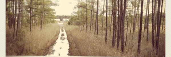 MichaelCFormica Profile Banner