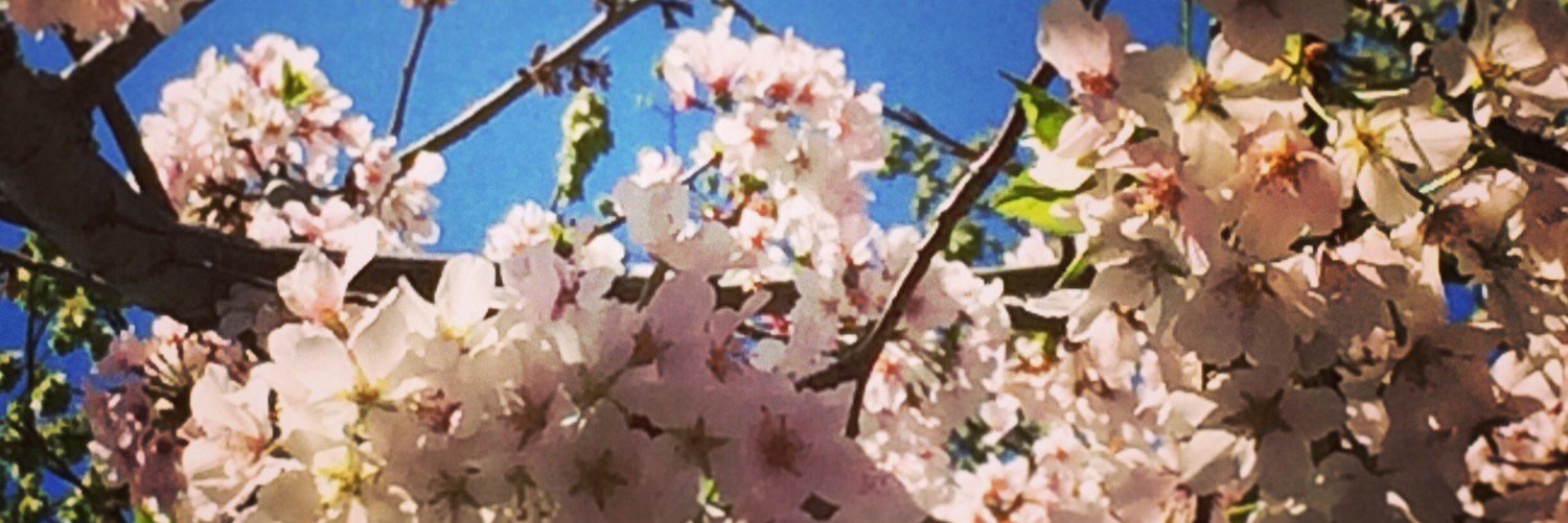 mrc__7's profile banner image